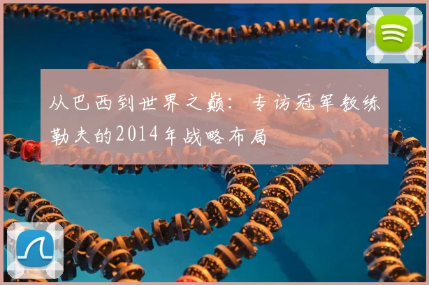 从巴西到世界之巅：专访冠军教练勒夫的2014年战略布局