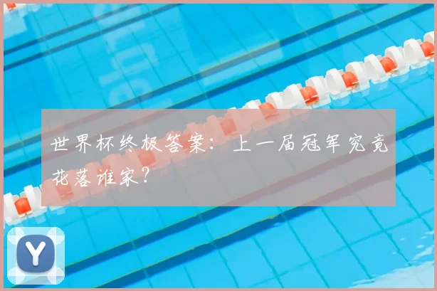 世界杯终极答案:上一届冠军究竟花落谁家?