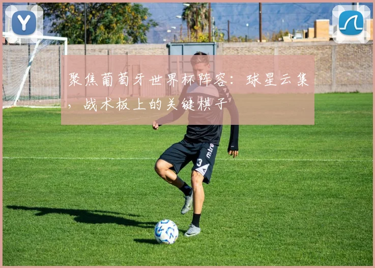 聚焦葡萄牙世界杯阵容：球星云集，战术板上的关键棋子