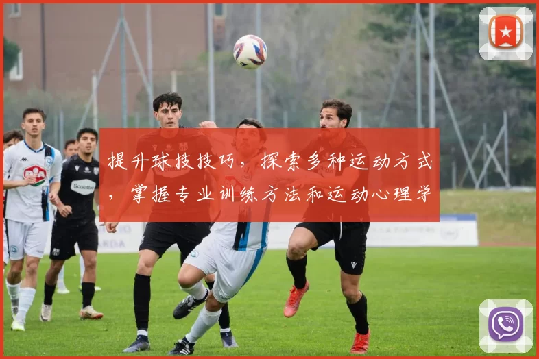 提升球技技巧，探索多种运动方式，掌握专业训练方法和运动心理学