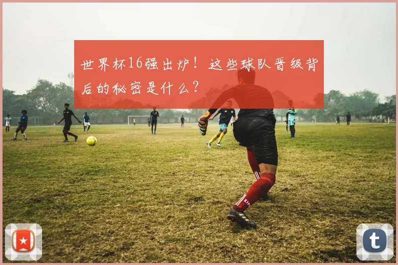 世界杯16强出炉!这些球队晋级背后的秘密是什么?