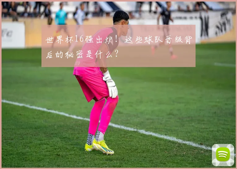世界杯16强出炉!这些球队晋级背后的秘密是什么?