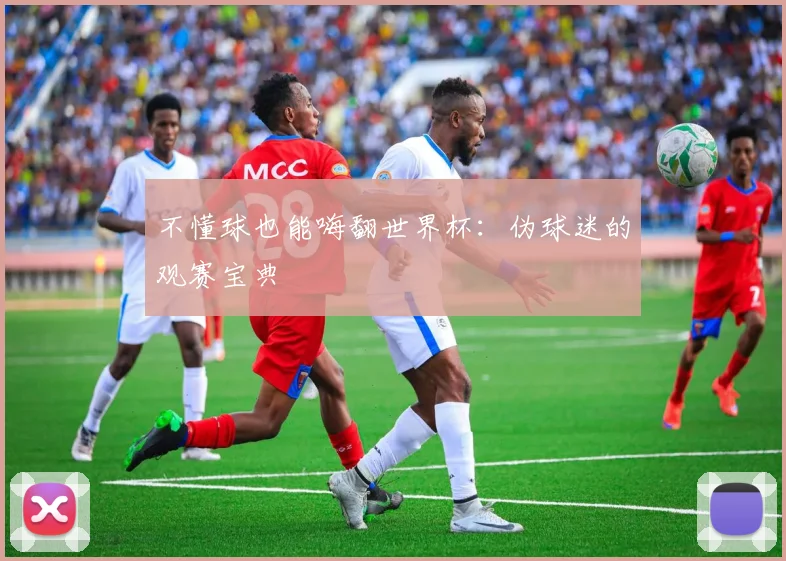 不懂球也能嗨翻世界杯:伪球迷的观赛宝典