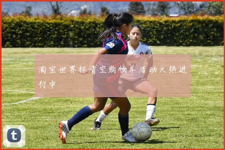淘宝世界杯清空购物车活动火热进行中