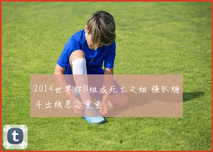 2014世界杯B组成死亡之组 强队缠斗出线悬念重重