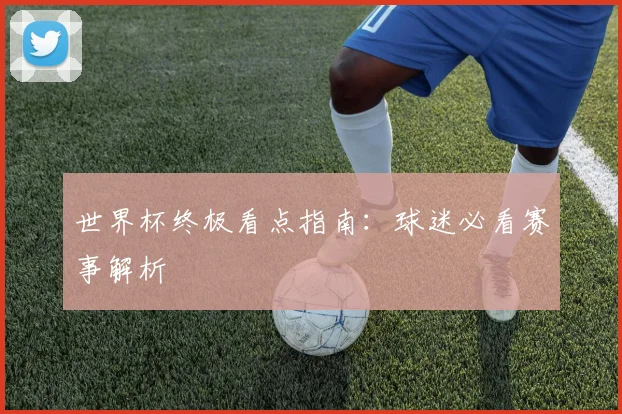 世界杯终极看点指南:球迷必看赛事解析