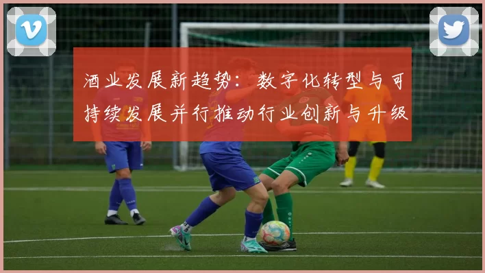 酒业发展新趋势：数字化转型与可持续发展并行推动行业创新与升级