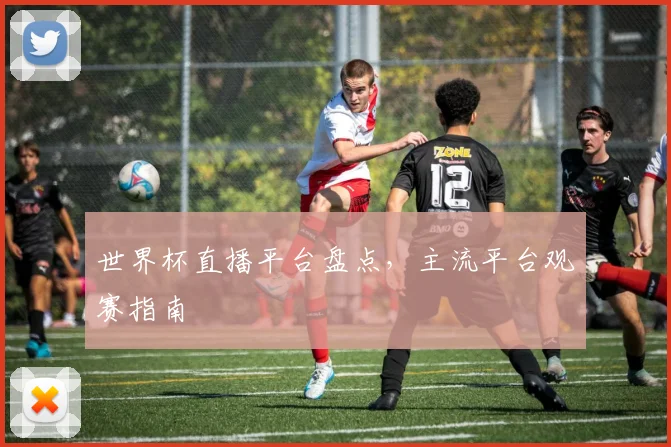 世界杯直播平台盘点,主流平台观赛指南