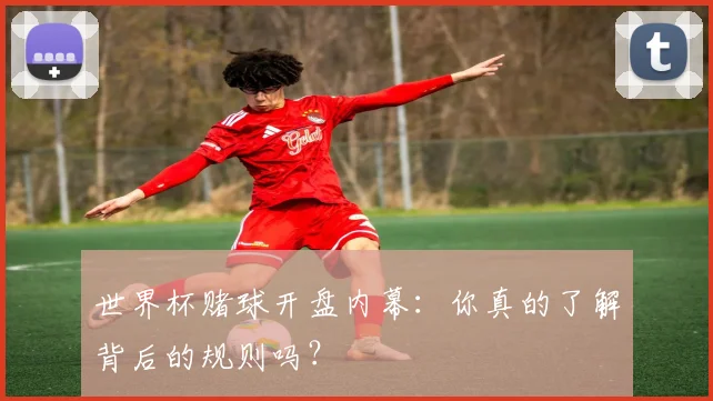 世界杯赌球开盘内幕：你真的了解背后的规则吗？