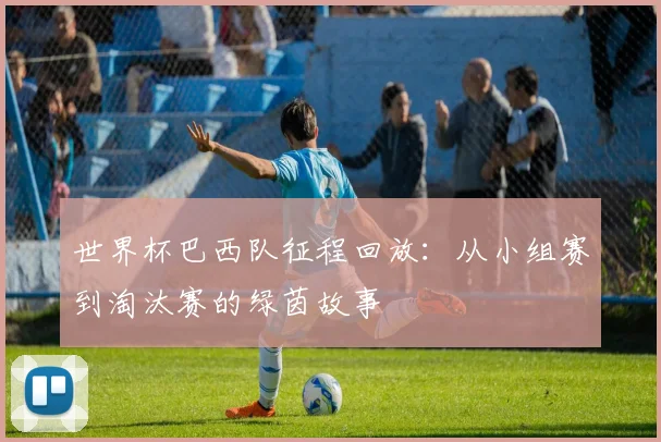 世界杯巴西队征程回放：从小组赛到淘汰赛的绿茵故事