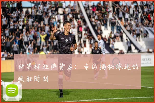 世界杯狂热背后：专访揭秘球迷的疯狂时刻
