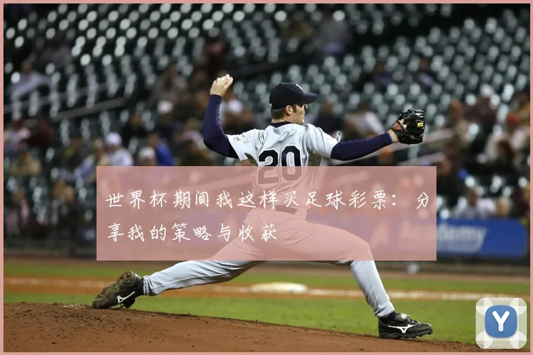 世界杯期间我这样买足球彩票:分享我的策略与收获