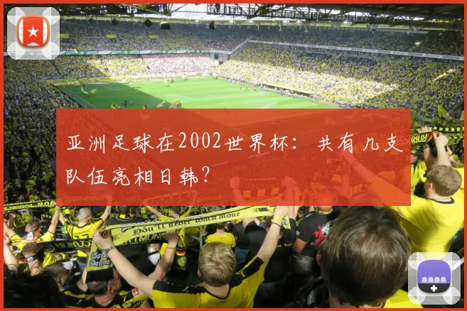 亚洲足球在2002世界杯:共有几支队伍亮相日韩?