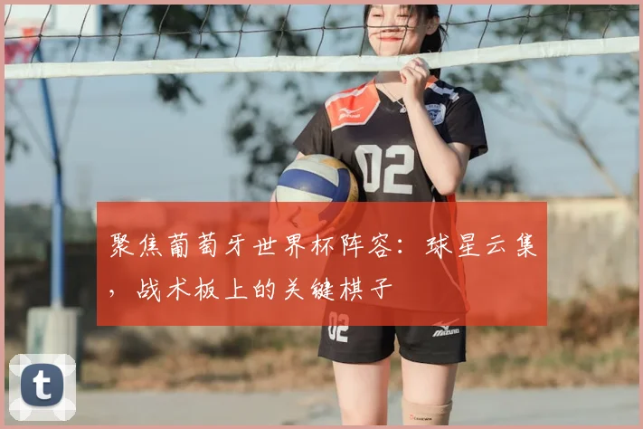 聚焦葡萄牙世界杯阵容：球星云集，战术板上的关键棋子