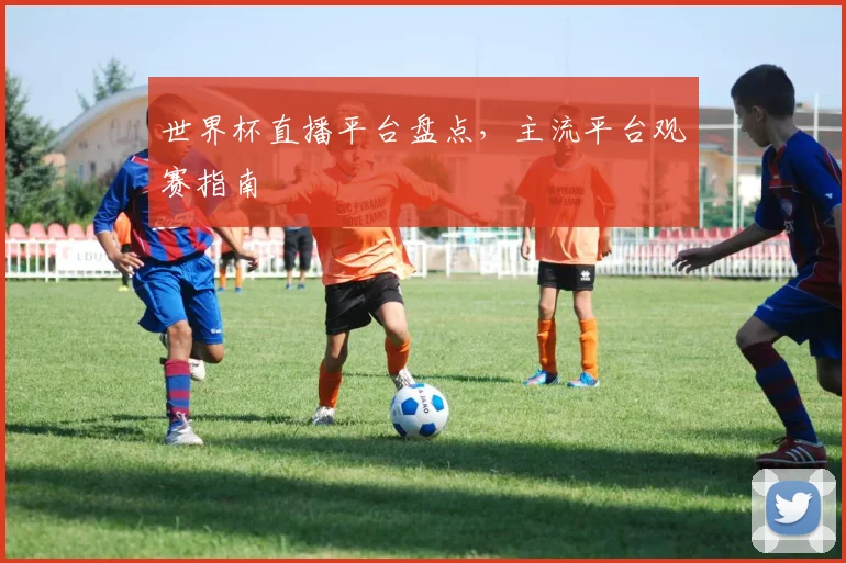 世界杯直播平台盘点，主流平台观赛指南