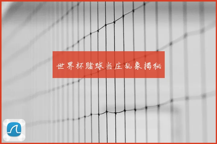 世界杯赌球当庄乱象揭秘